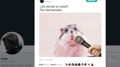 10 chistes animales de juzgado de guardia que te harán reírte hasta que te duela la tripa