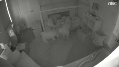 Se encontró a su hija, que no llega a abrir la puerta de su habitación, paseando por la casa de noche y flipó al ver la grabación de la cámara
