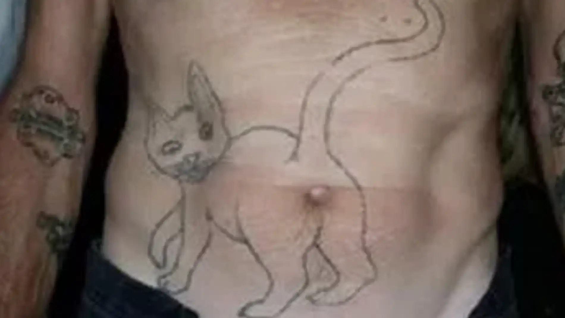 Tatuaje de un gato