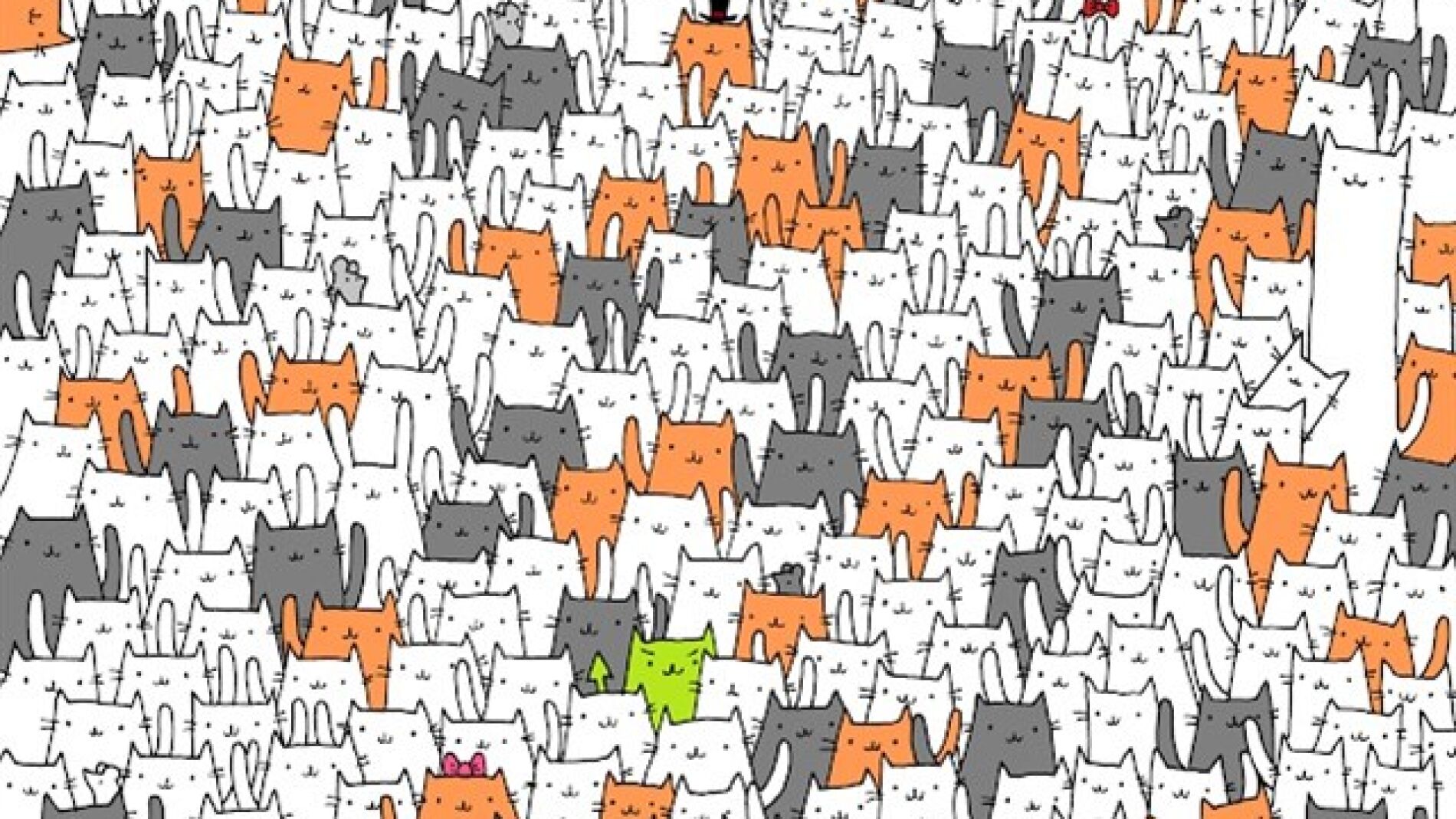 &iquest;Puedes encontrar el conejo entre los gatos?