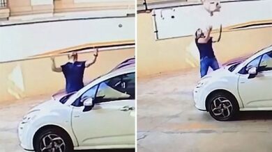 Un hombre salva a un perro de una caída de 30 metros
