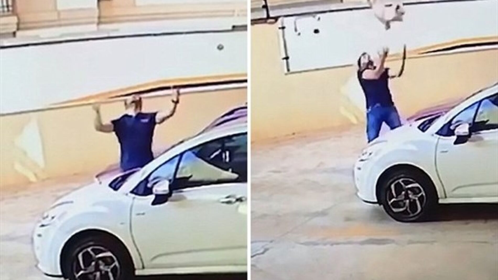 Perro cae de un balc&oacute;n