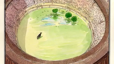 Toros Toros