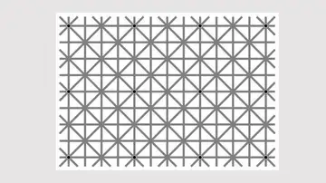 Ilusión óptica de los puntos negros