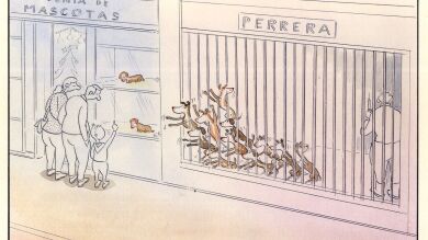 Paco Catalán: el dibujante que denuncia con sus viñetas las injusticias contra los animales