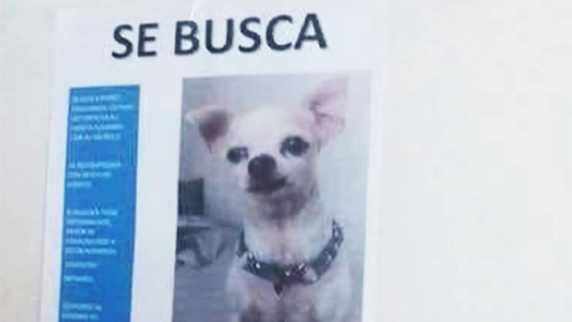 El cartel de 'se busca' que ha creado un gran cachondeo en Twitter