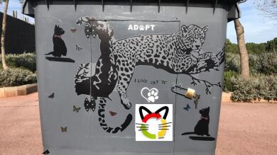 CatDonalds: la idea para gatos callejeros de un matrimonio catalán que conquista el mundo