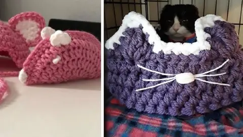 Karma, el gato sin orejas Karma, el gato sin orejas