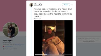 La adorable reacción de este dueño al ver a su perro celoso por no recibir gotitas para los oídos