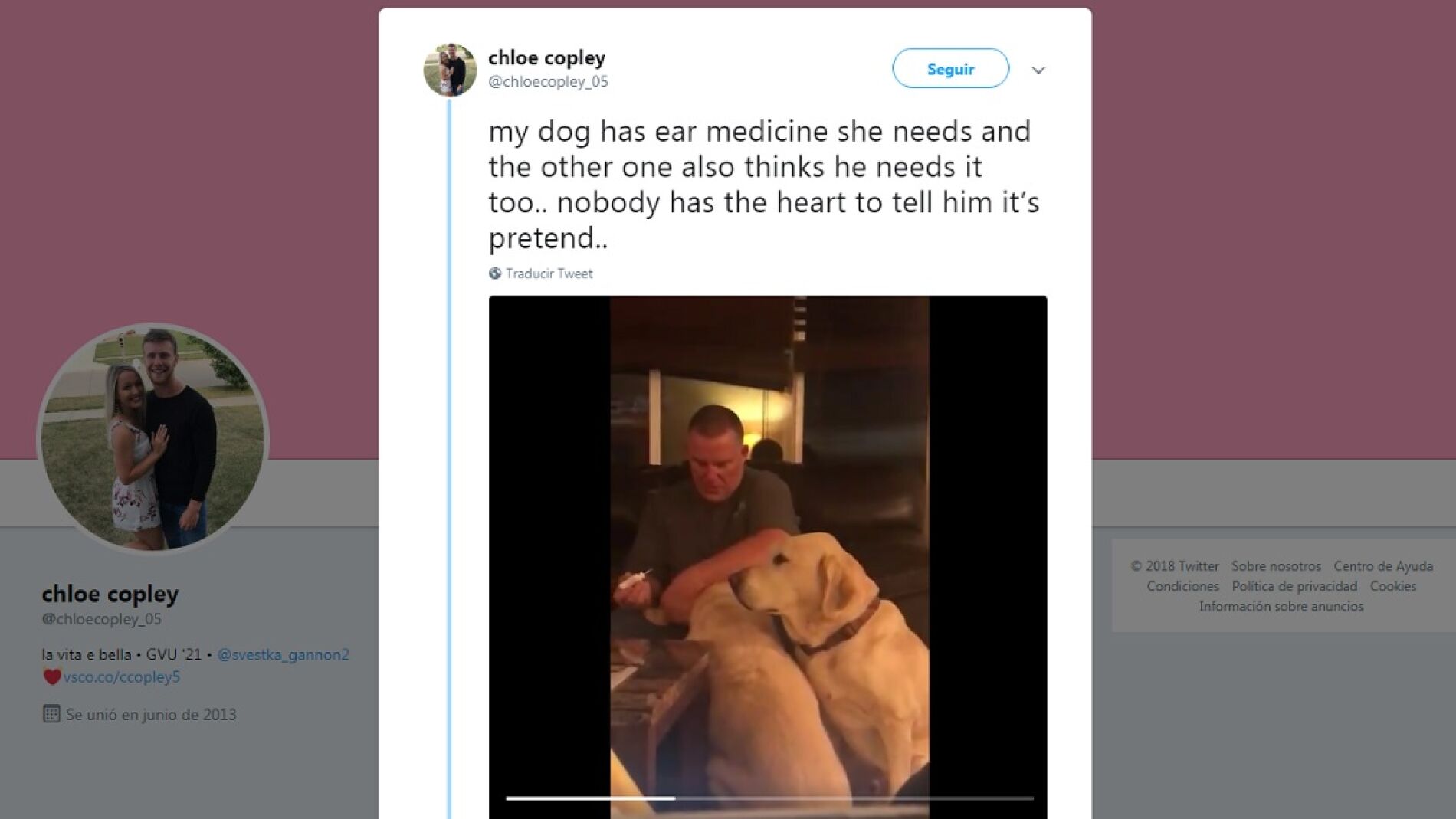 La adorable reacci&oacute;n de este due&ntilde;o al ver que su perro se pone celoso