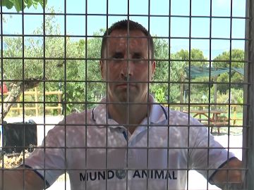 Alfredo Díaz