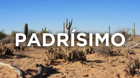 Palabras mexicanas 18 Palabras mexicanas 18