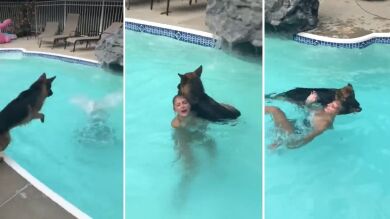 Un perro que tenía miedo al agua rescata a una chica que se está ahogando en la piscina