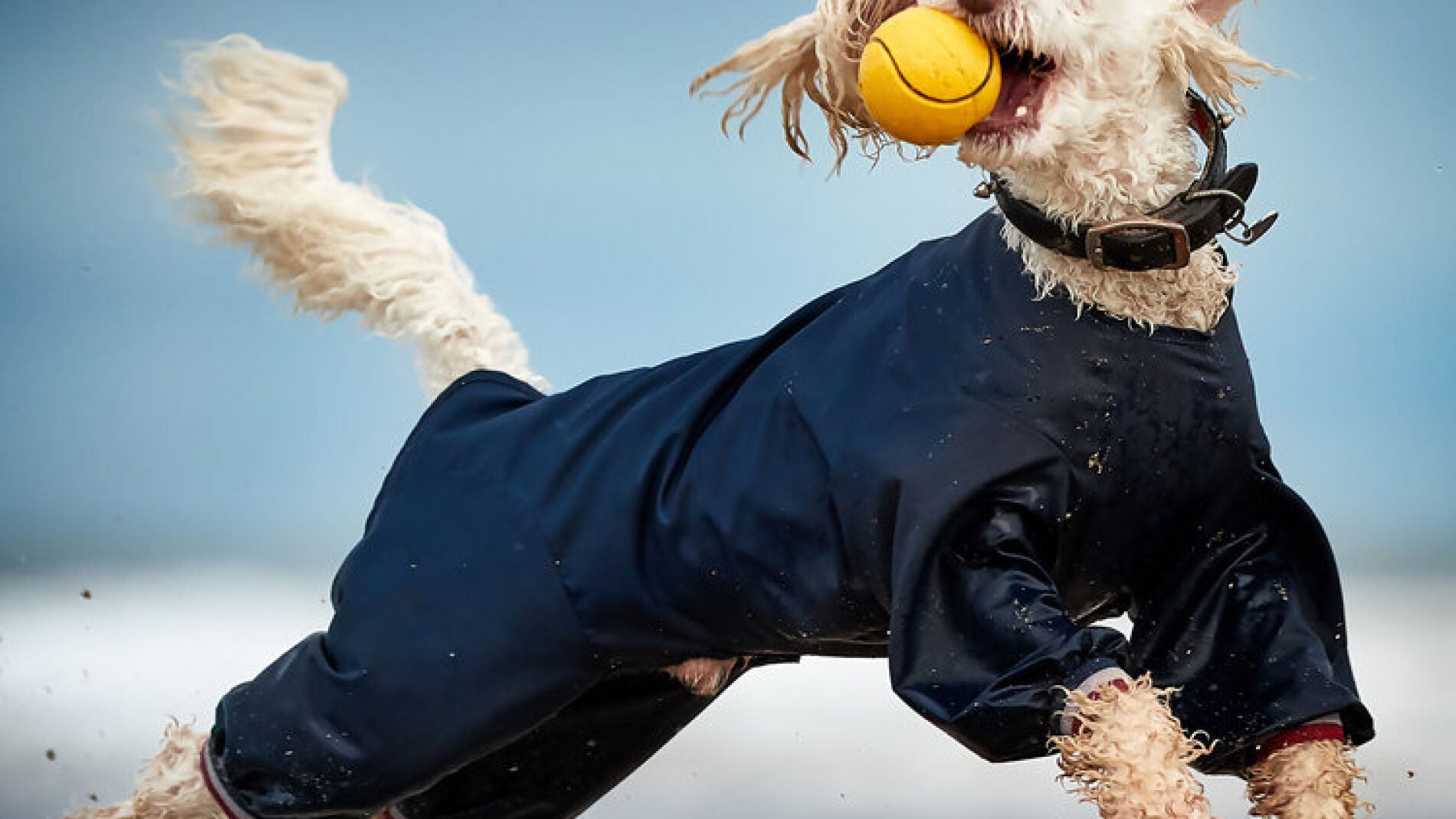 Los PIPA son los Photobox Instagram Photography Awards