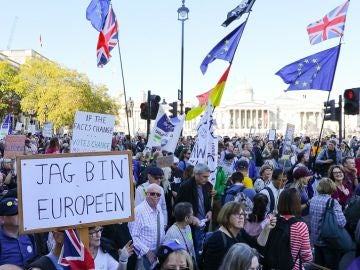 Manifestaci&oacute;n contraria al Brexit en Londres