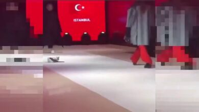 Un gato se cuela en una pasarela e intenta atacar a las modelos que desfilan