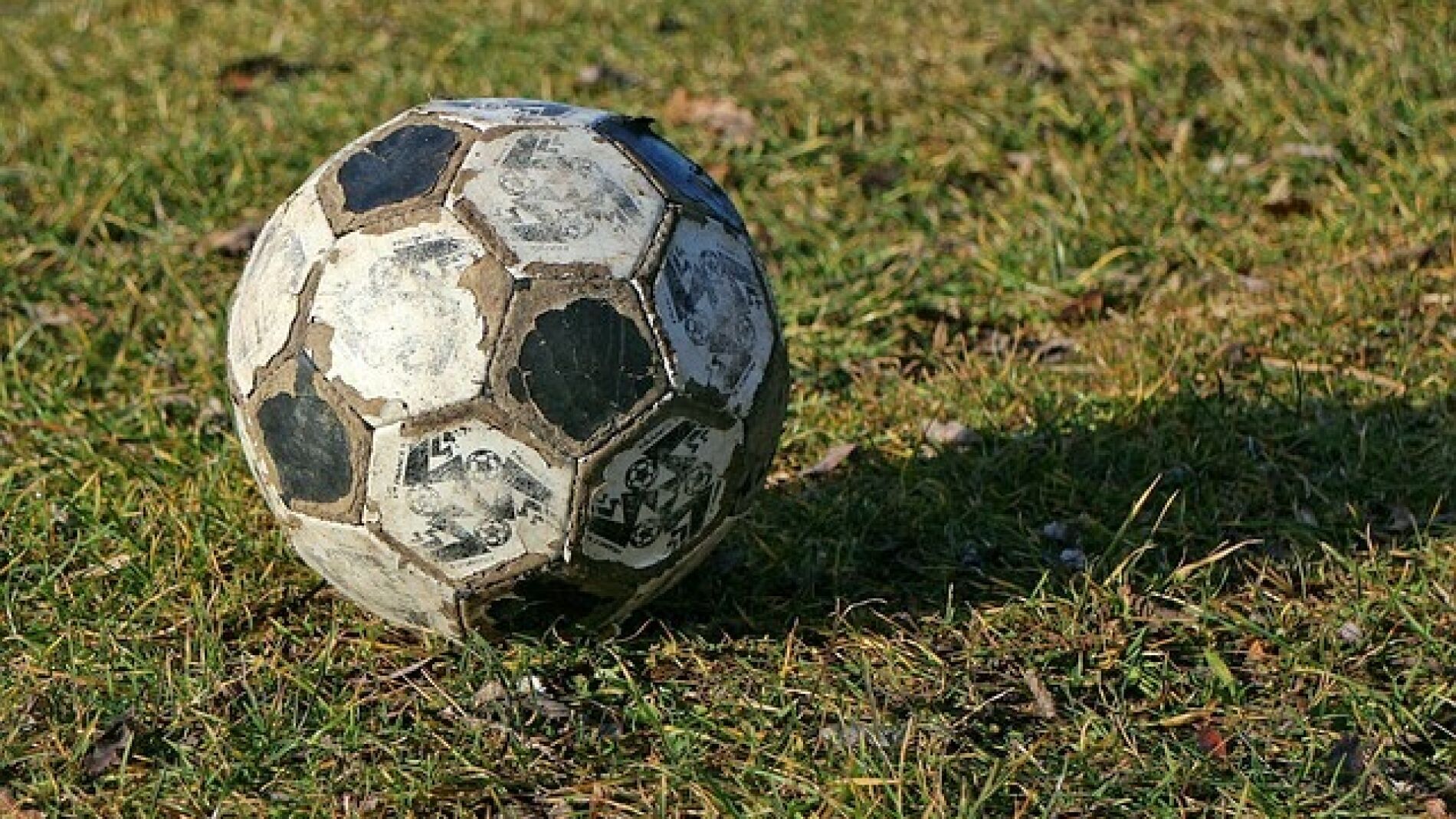 Pelota de f&uacute;tbol