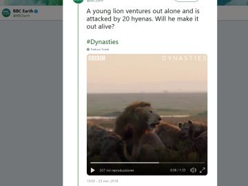 Hienas atacando a un león