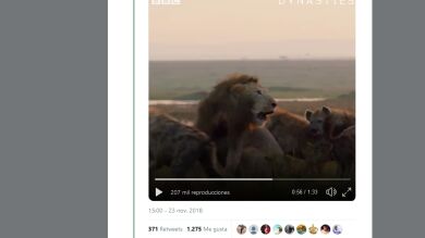 Un león iba a ser devorado por veinte hienas hasta que ocurre el milagro