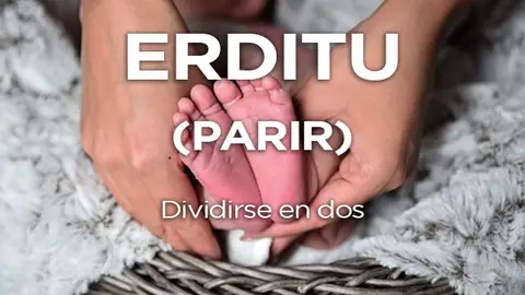 Palabras en euskera 5 Palabras en euskera 5
