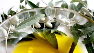 Crean una máquina que te permite fabricar aceite de oliva en casa