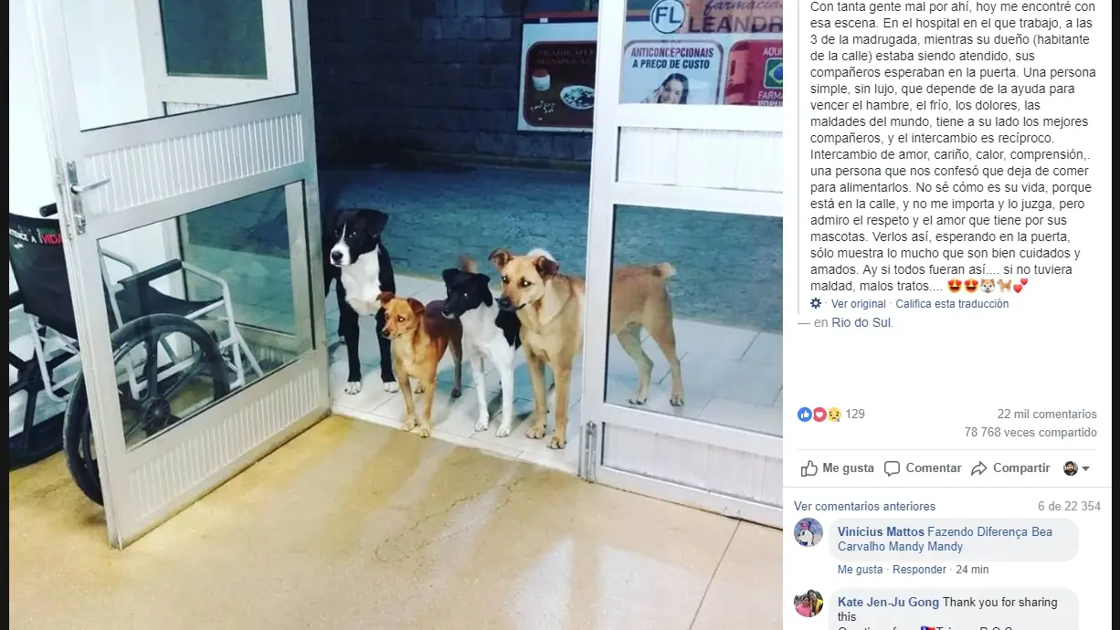 Perros en la puerta de un centro de salud