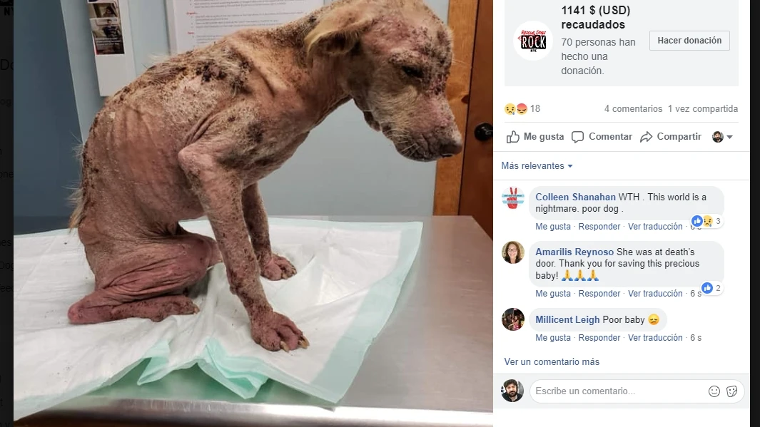 Ana justo después de ser rescatada
