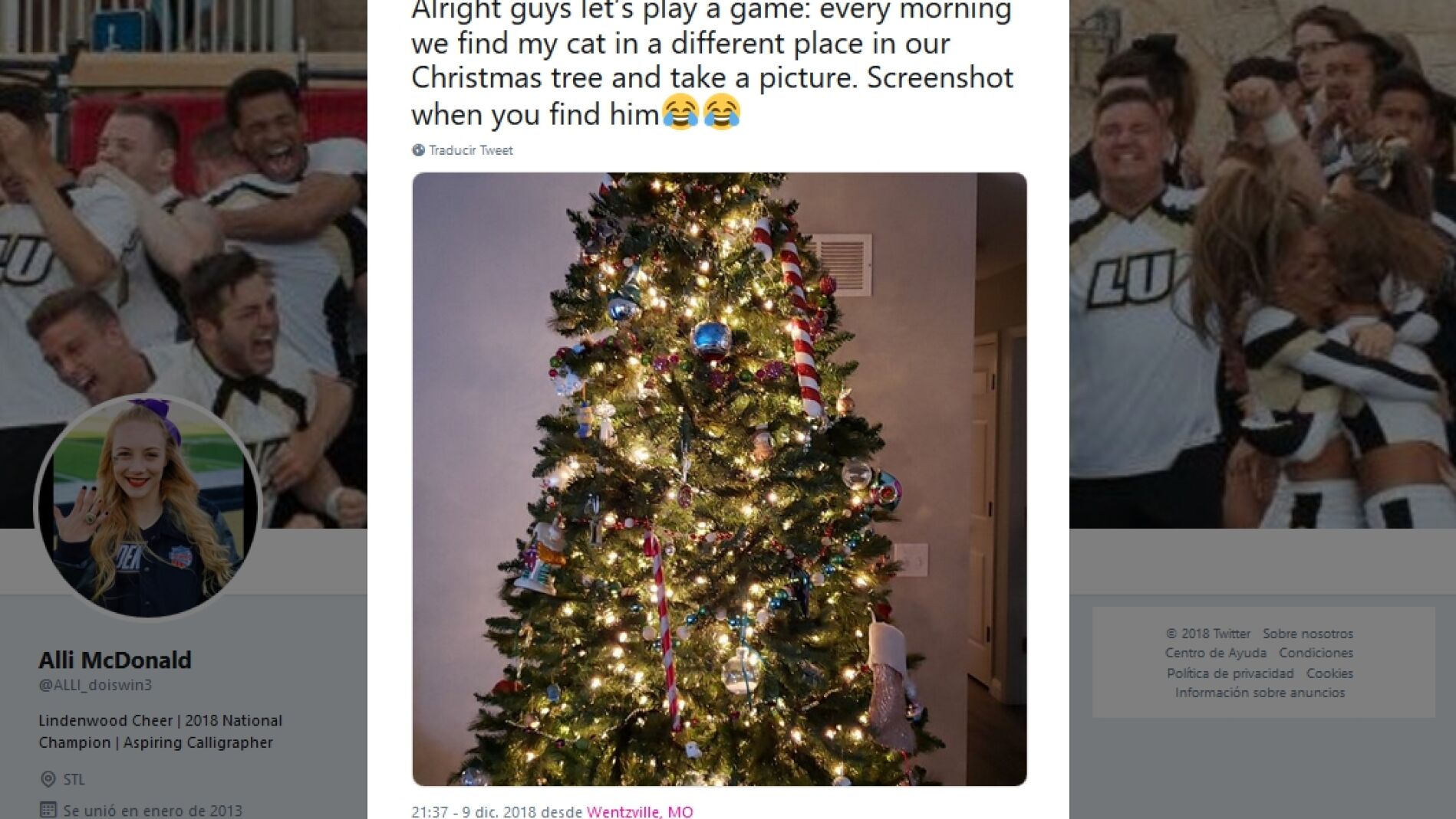 &iquest;Encuentras al gato?