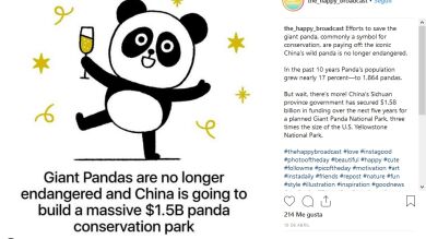 Una cuenta de Instagram ilustra las mejores noticias del 2018