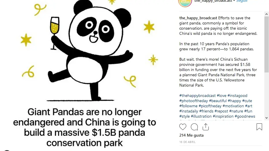 Los pandas ya no están en peligro de extinción 