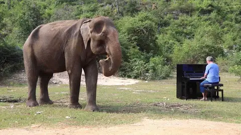 Paul Barton tocando el piano Paul Barton tocando el piano