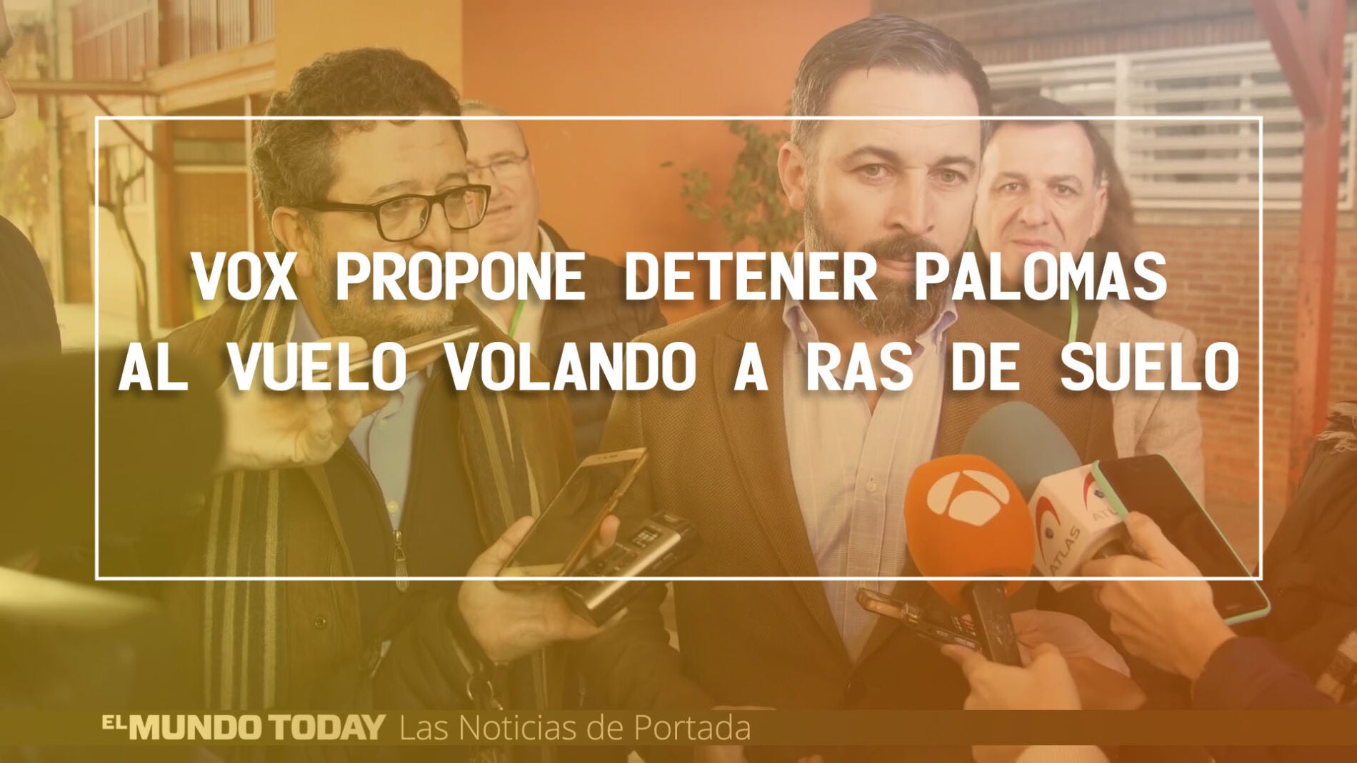 Vox propone detener palomas al vuelo
