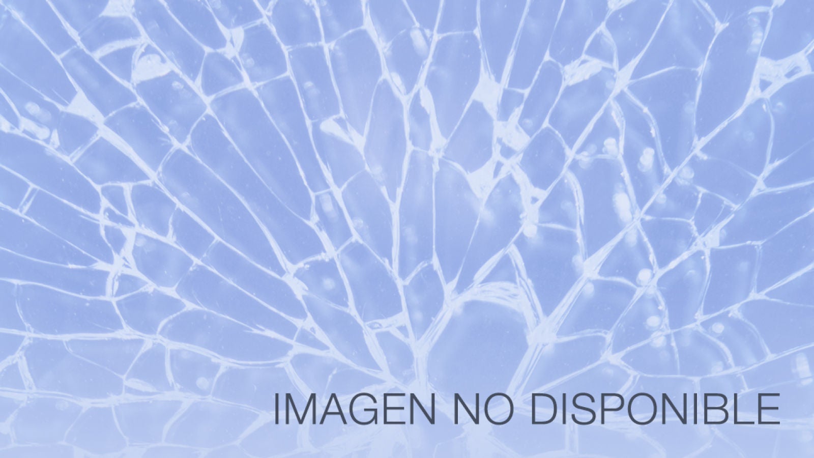 ¿Puedes adivinar estos populares personajes en 8 bits?