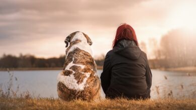 ¿Qué mascota deberías tener?