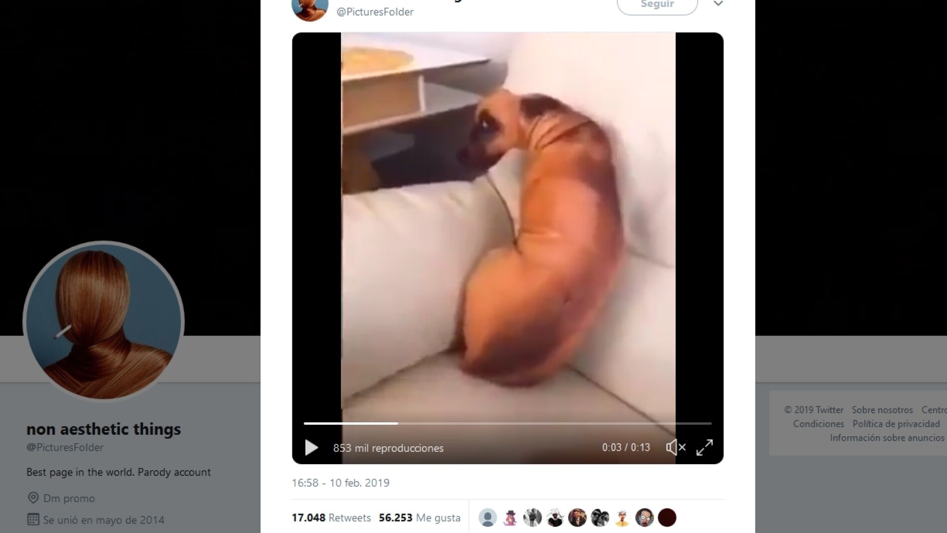 Un perro en un sof&aacute;