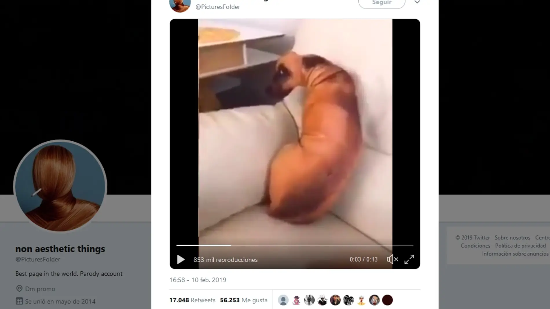 Un perro en un sofá