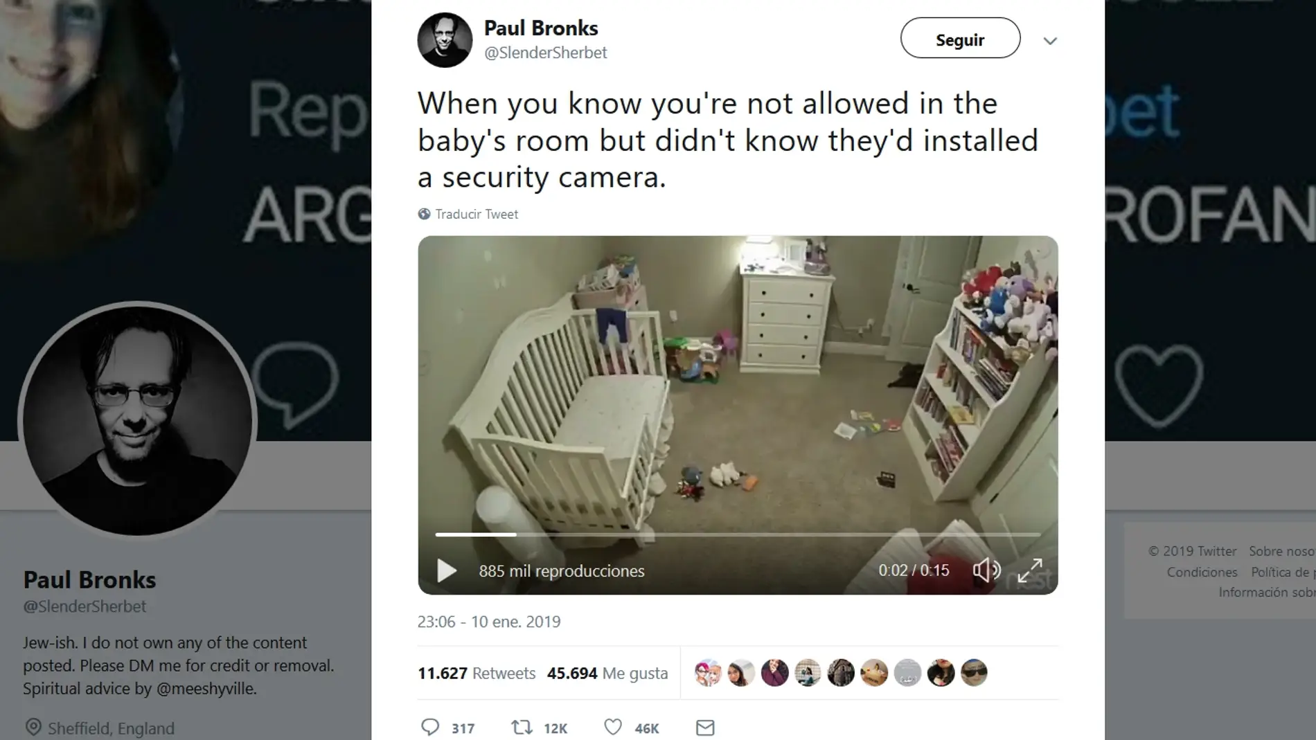 Perro entrando en la habitación del bebé