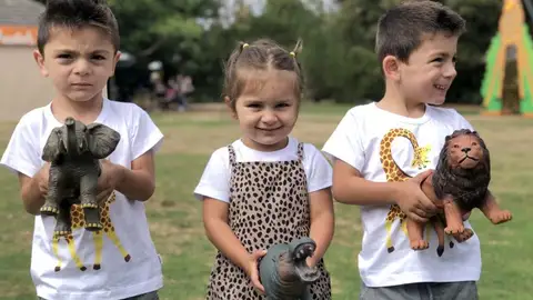 Animales de juguete Animales de juguete