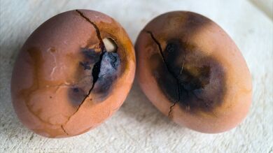 8 epic fails que a todos nos han pasado alguna vez en la cocina