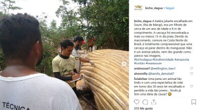 Encuentran esto en el Amazonas y nadie se explica como ha llegado allí