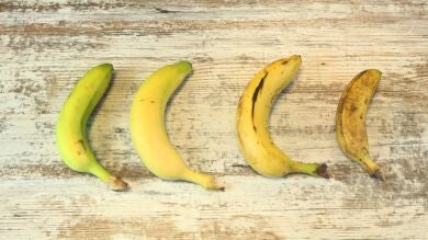 Summer Dick: así cambia el pene en verano