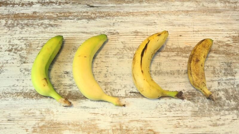 Summer Dick: así cambia el pene en verano