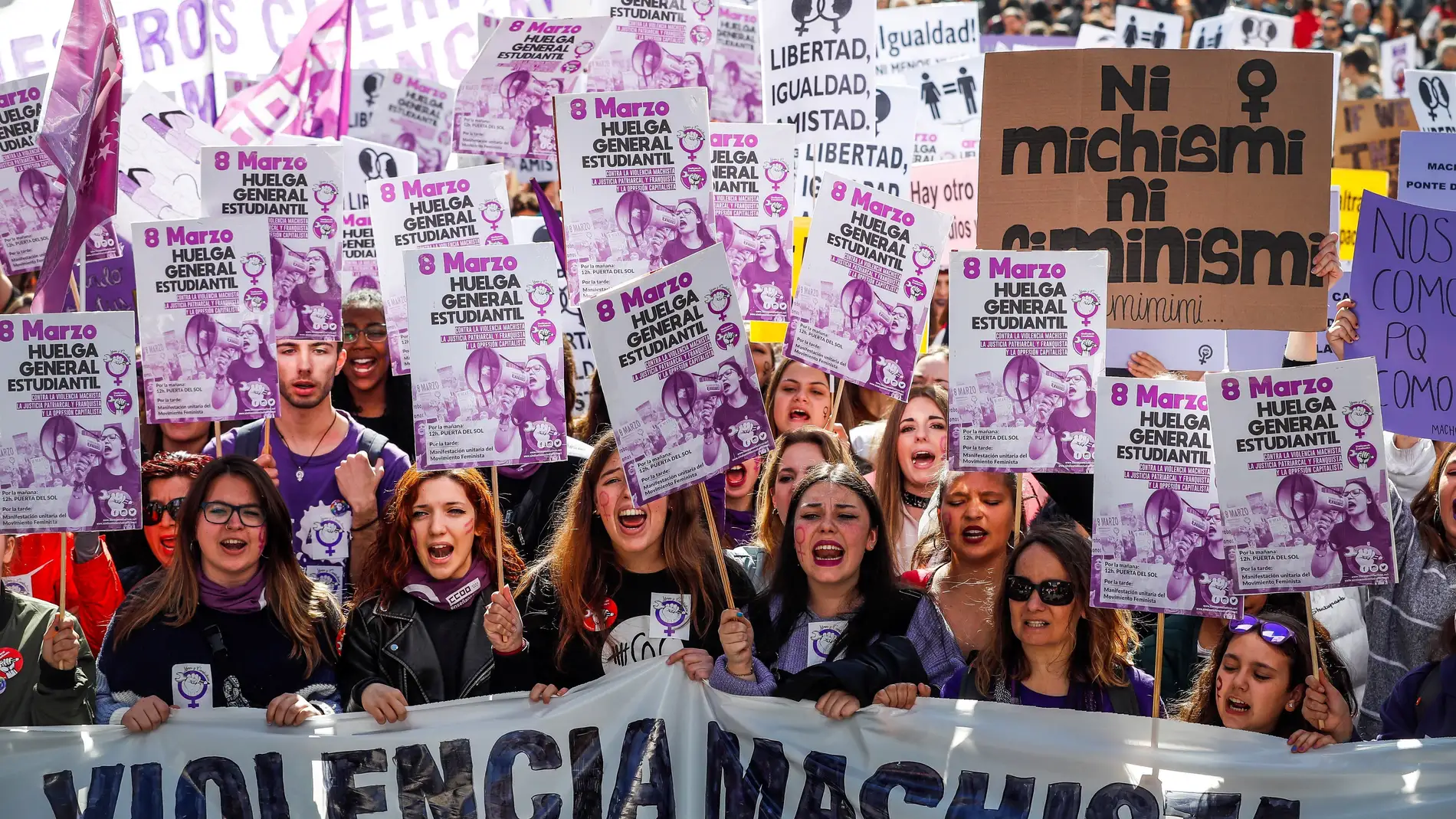 Protesta del 8M 2019 en Madrid