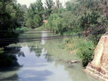 Imagen de archivo de el río Tajo a su paso por Aranjuez.