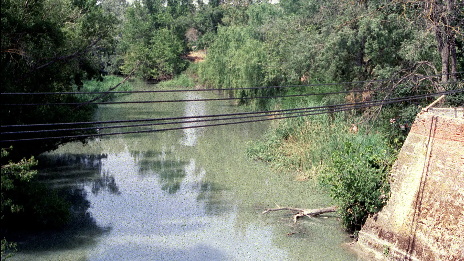 Imagen de archivo de el río Tajo a su paso por Aranjuez.