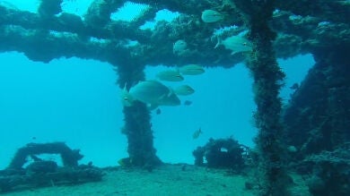 Hace 107 años que se hundió así el Titanic, el barco más lujoso del mundo
