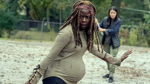 The Walking Dead The Walking Dead