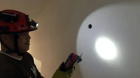 Gatitos escondidos Gatitos escondidos