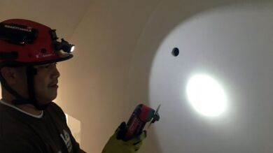 VÍDEO: En esta foto hay dos gatitos escondidos y la gente está flipando al descubrirlos