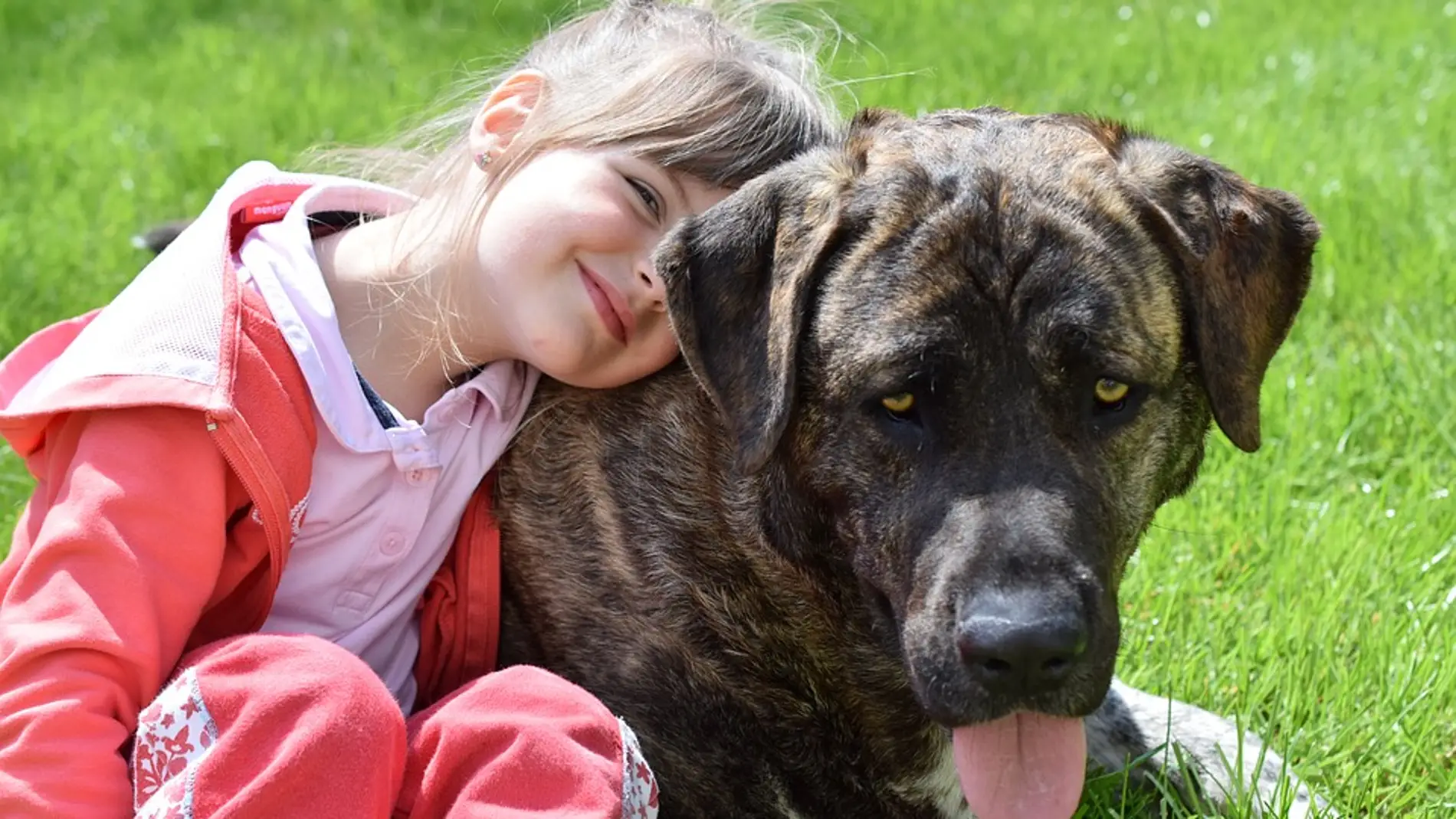 Niña con su perro